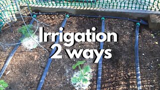 Garden Bed Irrigation Made EASY: Grow Food NOW #5