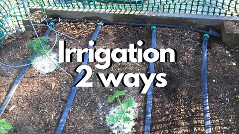 Garden Bed Irrigation Made EASY: Grow Food NOW #5