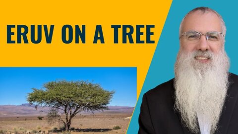 Mishna Eruvin Chapter 3 Mishnah 3 Eruv on a tree