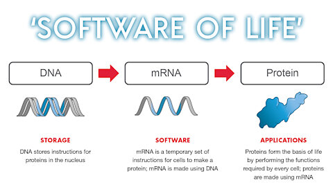 Covid-19 mRNA 'Vaccine' Is A 'Software' + mRNA Adverse Effects So Far (In The US)