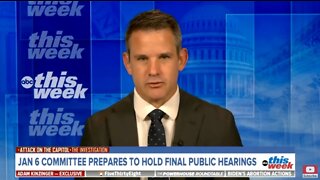 Rep Adam Kinzinger Thinks There Won't Be Any Trump Supporters In 10 Years