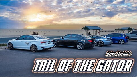 Drive Florida's Tail of the Gator | Mk7 Golf R, Audi RS3, S3, Porsche 911, C63s AMG, E60 M5 | RALLY!
