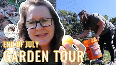 GARDEN TOUR | End of July | Time for FALL Plantings