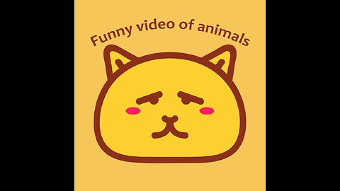 Funny Cats