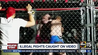 Illegal fights caught on video