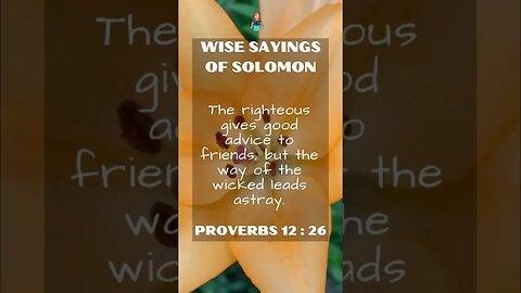 Wise Sayings of Solomon | Proverbs 12:26