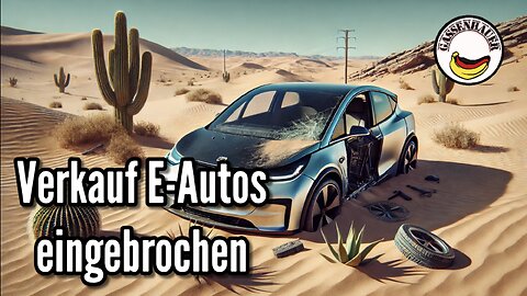 Verkauf E Autos eingebrochen