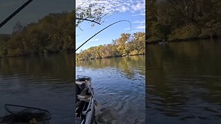 This BIG Fish HUNG Me In A Tree! #bassfishing #kayakfishing #riverfishing