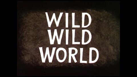 1960, 2-27, Merrie Melodies, Wild Wild World