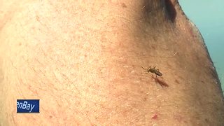 Residents deal with onslaught of mosquitoes