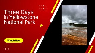 Yellowstone National Park|3 day visit road trip from Oregon