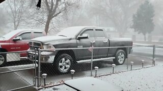 Heavy Snow in Los Lunas, NM 5:08pm