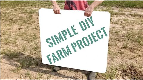 DIY Hog Sorting Board | Easy & inexpensive DIY project for any farm animal. Plywood & sweat!