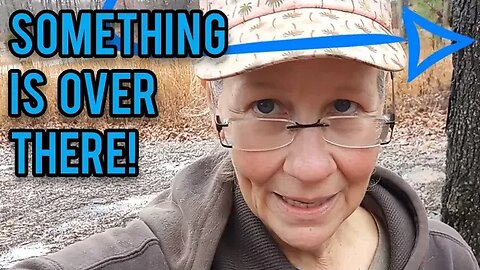 Something is Over There! - Ann's Tiny Life and Homestead