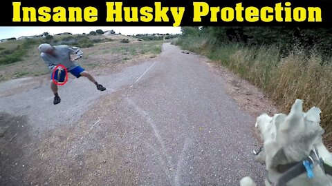 Warning* Siberian Husky Protecting Owner Caught On Video | Guard Dog Test In Action😱