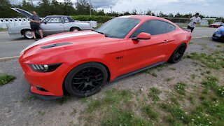 Kia Stinger GT Vs 2015 Mustang GT 1/4 Mile