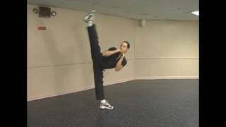 Dynamic Kicking of Martial Arts Instructional Martial Arts Kicking DVD Basic Kick Preview