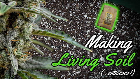 How to Make Living Soil for Weed (....with coco!)