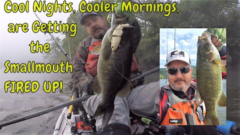 Cool Nights, Cooler Mornings are Getting the Smallmouth Fired Up!