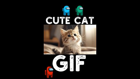 Cute Cat Gif