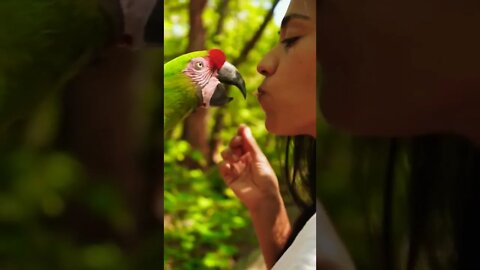 Best animals place Cute Bird with woman Lovely moments 🦜🦃💚#shorts #youtubepets&_animals #videoshorts