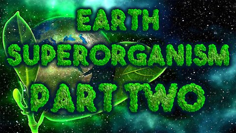 Earth Superorganism [ Part Two ] As Above, So Below