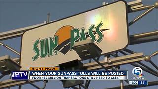 Sen. Nelson wants probe of company running Sunpass transactions