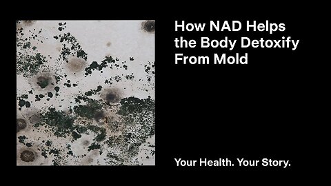 How NAD Helps the Body Detoxify From Mold