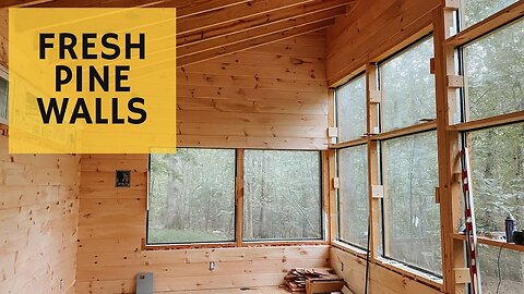 Pine Walls are DONE - Cabin Build Ep.42
