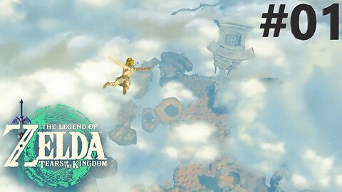 Waking Up on a Sky Island! - Zelda Tears of the Kingdom #01