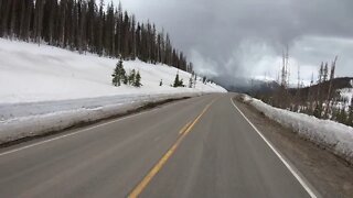 Climate Chaos, Miles of Dead Trees, Mainly Higher Elevation, Scenic Byway 149, Colorado