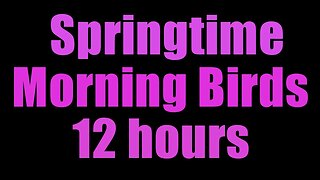 Springtime morning birds - Black Screen - 12 Hours