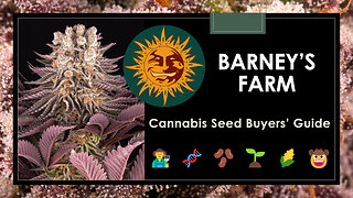 23 Best Barney's Farm Strains: Seed Buyers' Guide
