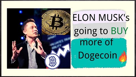 crypto news - Dogecoin /🔥ELON MUSK's going to BUY