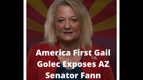 The Dirty Deeds of the Arizona Politics Continue to Be Revealed -Fann Failure