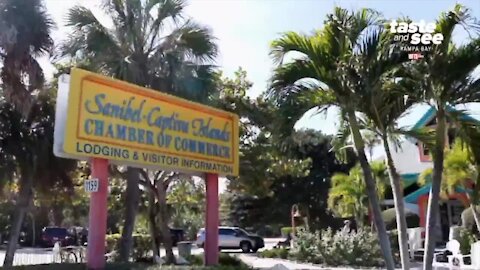 Giant Adventure Sanibel Island | Morning Blend