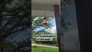 First hummingbird of the year… #farmlife #homestead #hummingbird