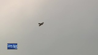 Rehabilitated falcon released back into the wild