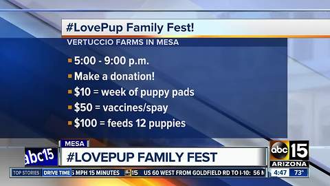 Enjoy the #LovePup family fest in Mesa this weekend