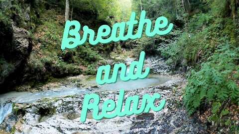 Relaxing forest brook waterfall meditation calm cleansing