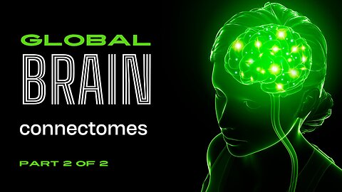 global brain connectomes 2/2