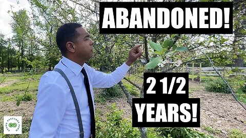 PROOF Permaculture Works! // Food Forest ABANDONED for 2 1/2 Years!