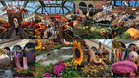 Bellagio Conservatory and Botanical Gardens - September 2023
