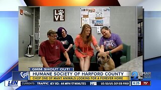 Good morning from the Humane Society of Harford County!