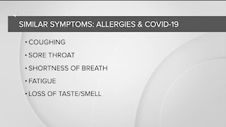 Sorting out the symptoms: Difference between fall allergies and COVID-19 symptoms