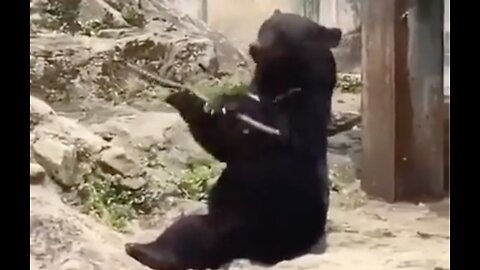 Real Life Kung Fu Panda