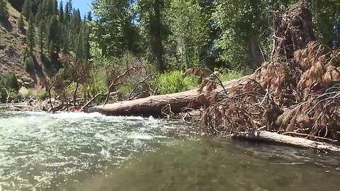 Hazards to watch out for on rivers in Idaho