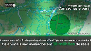 Ibama apreende 3 mil cabeças de gado e notifica 27 pecuaristas no Amazonas e Pará.