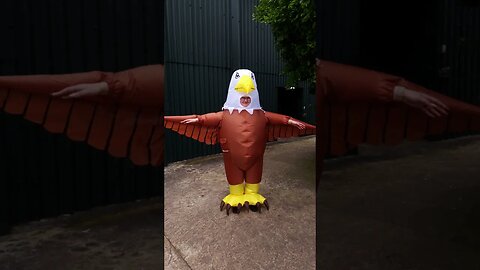Watch Zoo seeking 'seagull deterrents' to wear giant bird costumes, scare seagulls #shorts