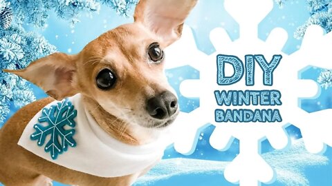 How to make a Fun Winter Fleece Dog Bandana